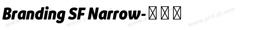 Branding SF Narrow字体转换